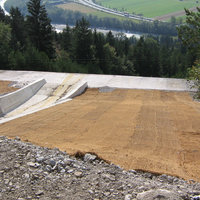 Begrünung in Kranebitten von Franz Neuner