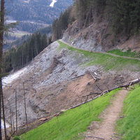 Begrünung im Padastertal von Franz Neuner