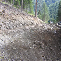 Begrünung im Padastertal von Franz Neuner